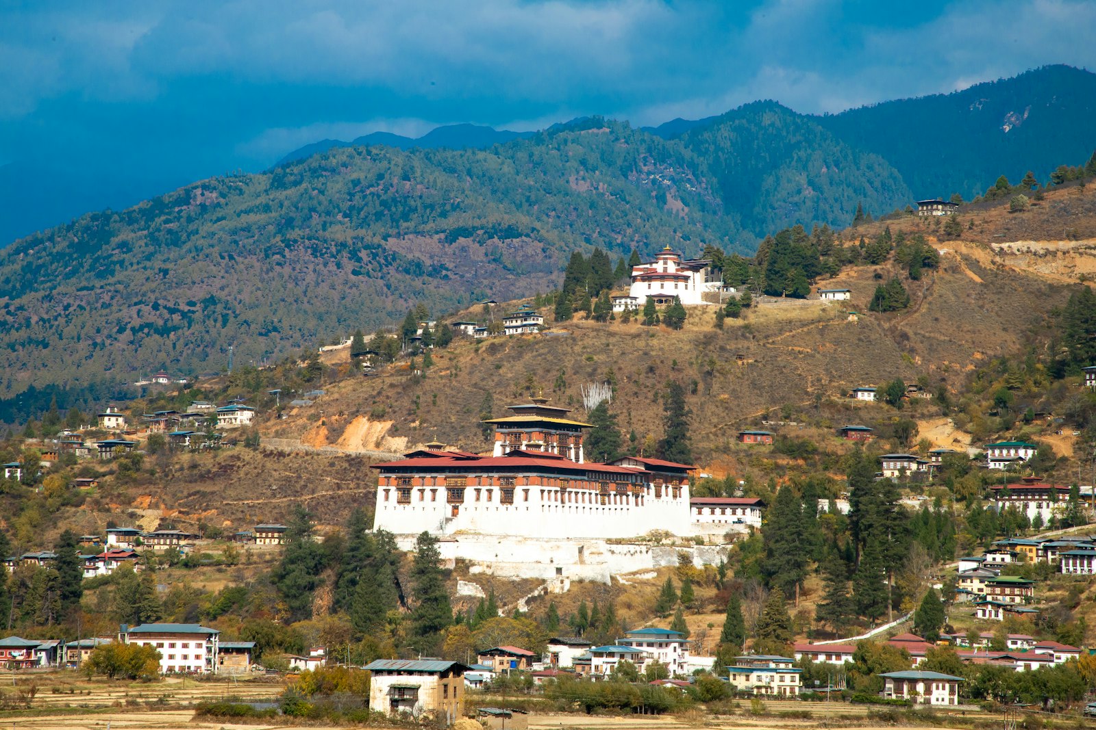 Rinpung Dzong on its hillside above the houses of Paro town