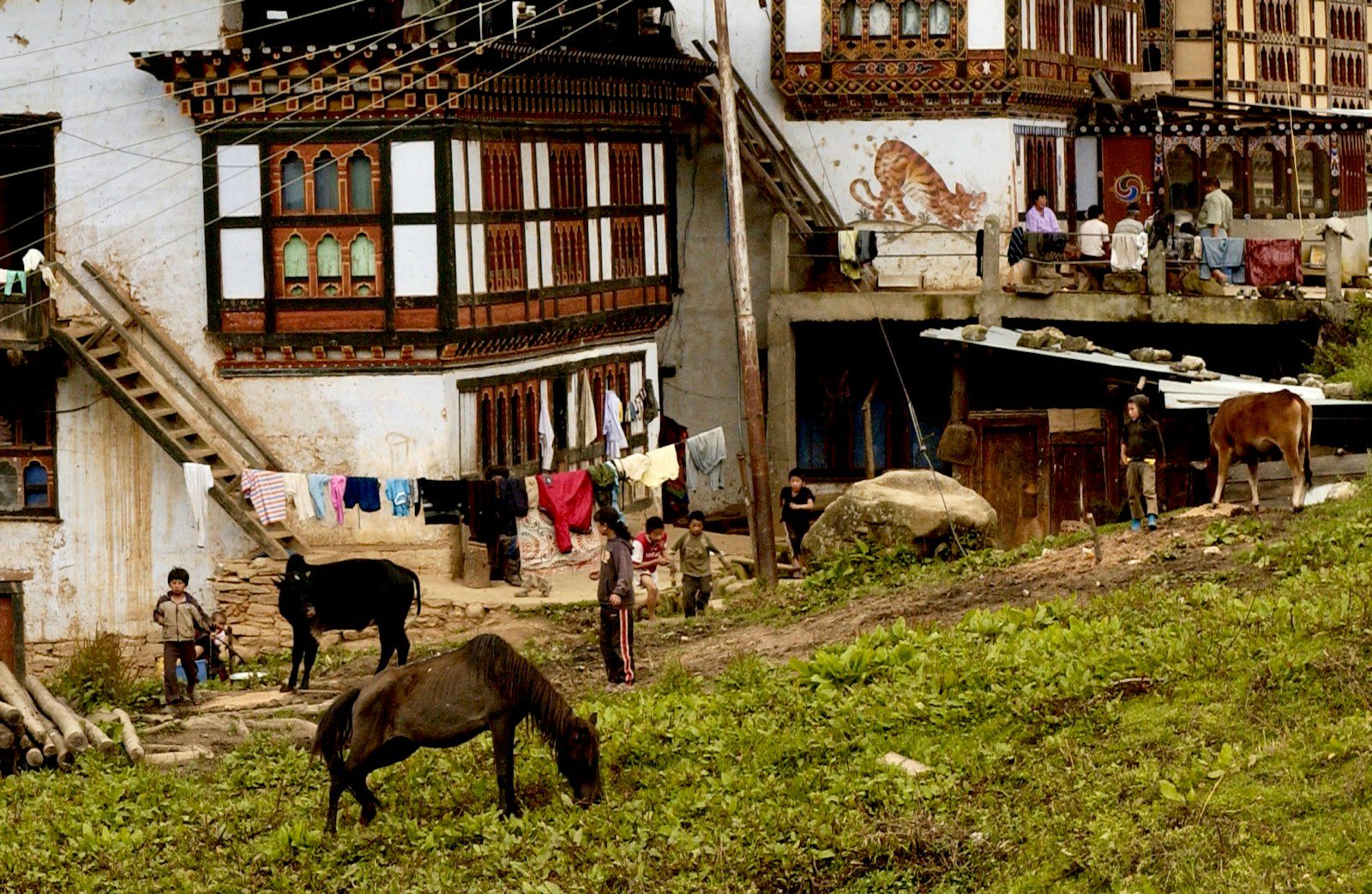 Traditional Bhutanese farmhouse experience