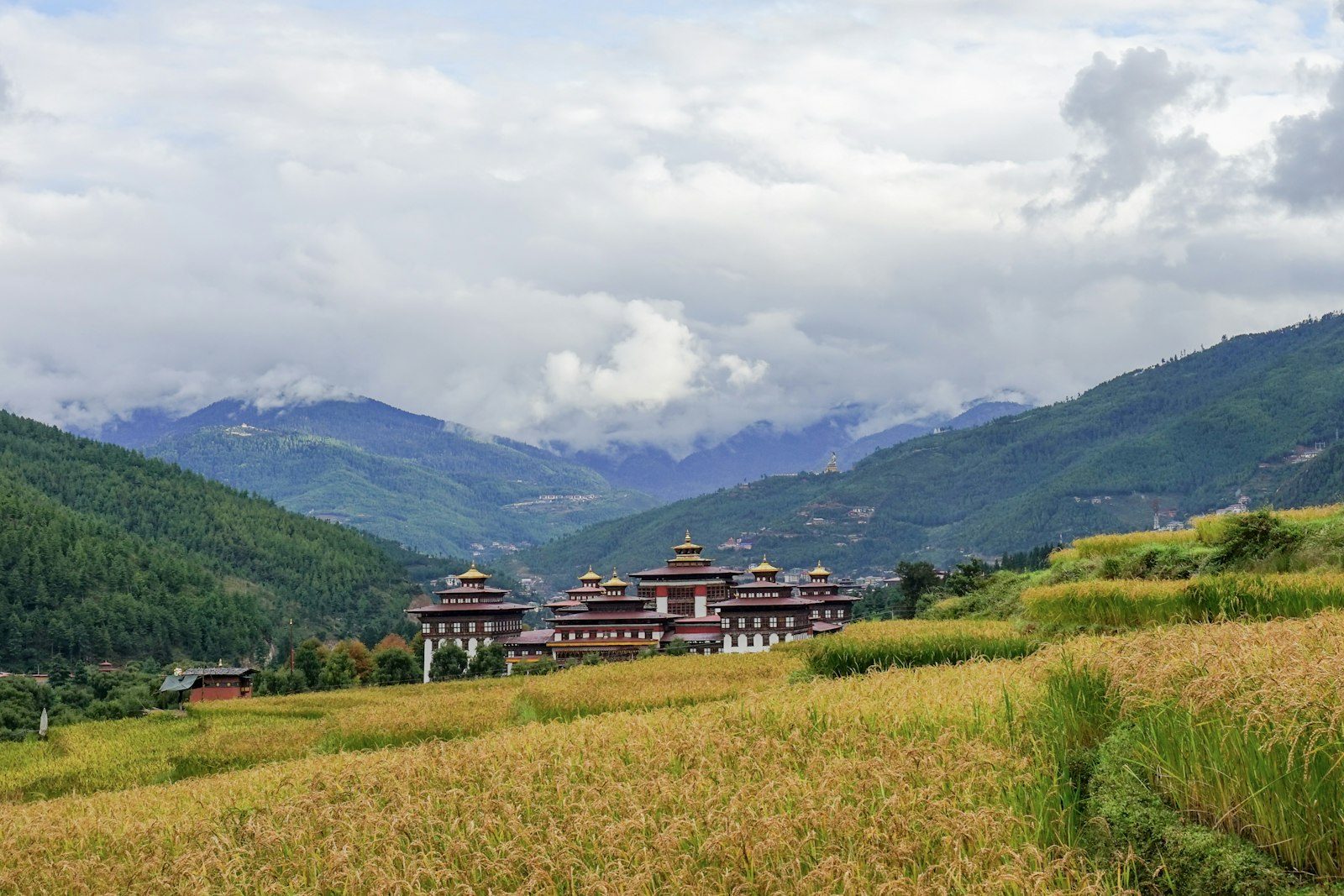 A Bhutanese temple set among golden rice fields below cloud-wrapped mountains